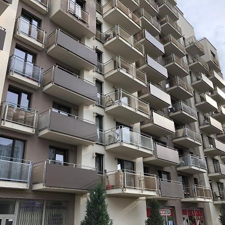Mivardomi Accommodation Cluj-Napoca Esterno foto